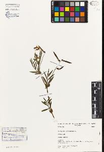 SW_BNB_s3080-03174_IMG-0000000001