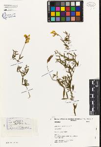 SW_BNB_s3080-03175_IMG-0000000001