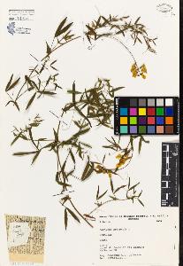 SW_BNB_s3080-03176_IMG-0000000001