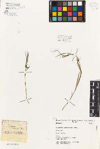 SW_BNB_s3080-03177_IMG-0000000001