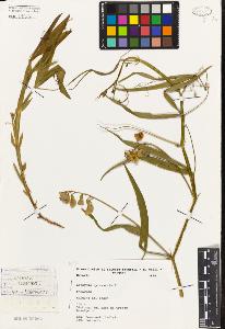 SW_BNB_s3080-03180_IMG-0000000001