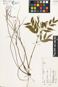 SW_BNB_s3080-03185_IMG-0000000001