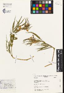 SW_BNB_s3080-03187_IMG-0000000001