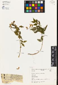 SW_BNB_s3080-03189_IMG-0000000001