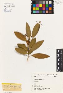 SW_BNB_s3080-03192_IMG-0000000001