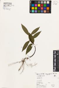 SW_BNB_s3080-03194_IMG-0000000001