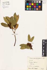 SW_BNB_s3080-03195_IMG-0000000001