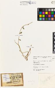 SW_BNB_s3080-03197_IMG-0000000001