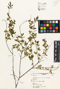 SW_BNB_s3080-03201_IMG-0000000001