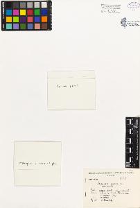 SW_BNB_s3080-03204_IMG-0000000001