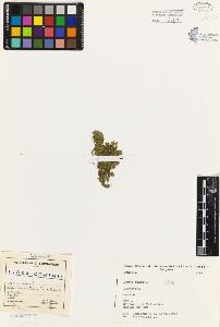 SW_BNB_s3080-03205_IMG-0000000001