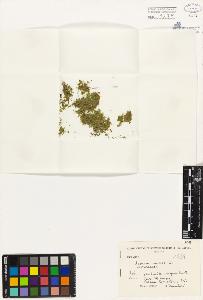 SW_BNB_s3080-03206_IMG-0000000001