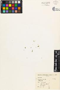 SW_BNB_s3080-03207_IMG-0000000001