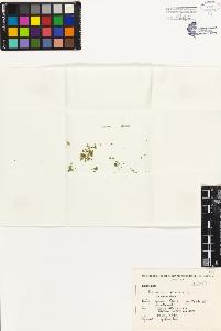 SW_BNB_s3080-03209_IMG-0000000001