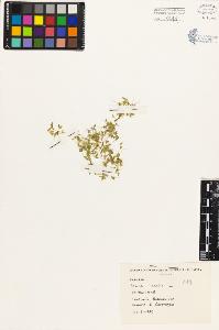 SW_BNB_s3080-03210_IMG-0000000001