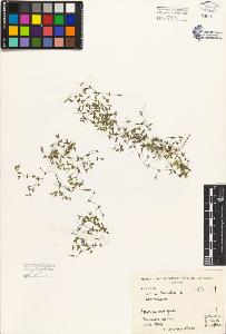 SW_BNB_s3080-03212_IMG-0000000001