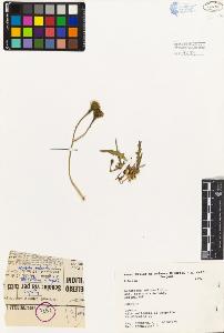 SW_BNB_s3080-03214_IMG-0000000001