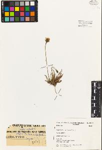 SW_BNB_s3080-03216_IMG-0000000001