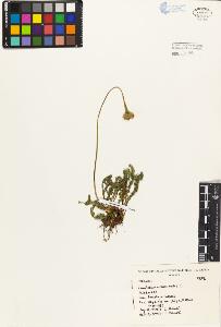 SW_BNB_s3080-03217_IMG-0000000001