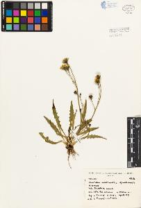 SW_BNB_s3080-03218_IMG-0000000001