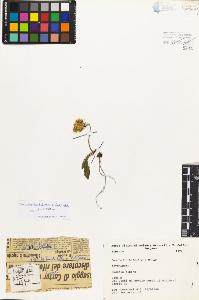 SW_BNB_s3080-03219_IMG-0000000001