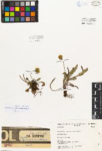 SW_BNB_s3080-03220_IMG-0000000001