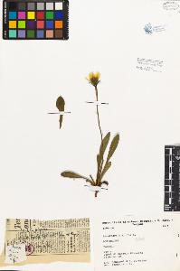SW_BNB_s3080-03227_IMG-0000000001