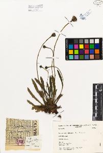 SW_BNB_s3080-03236_IMG-0000000001