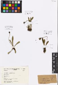 SW_BNB_s3080-03237_IMG-0000000001