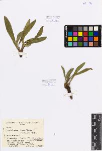 SW_BNB_s3080-03239_IMG-0000000001