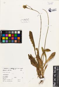 SW_BNB_s3080-03240_IMG-0000000001