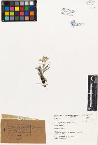 SW_BNB_s3080-03243_IMG-0000000001