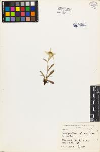 SW_BNB_s3080-03245_IMG-0000000001