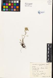 SW_BNB_s3080-03246_IMG-0000000001