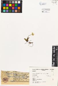 SW_BNB_s3080-03252_IMG-0000000001