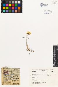 SW_BNB_s3080-03254_IMG-0000000001