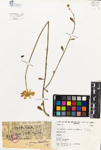 SW_BNB_s3080-03259_IMG-0000000001