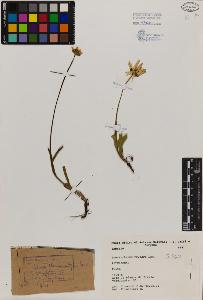 SW_BNB_s3080-03261_IMG-0000000001