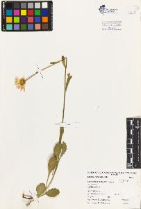 SW_BNB_s3080-03264_IMG-0000000001