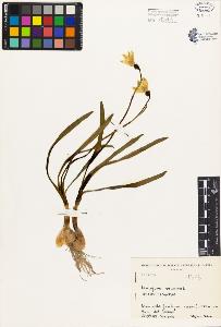 SW_BNB_s3080-03271_IMG-0000000001