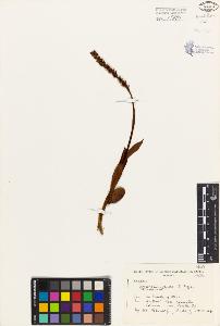 SW_BNB_s3080-03272_IMG-0000000001