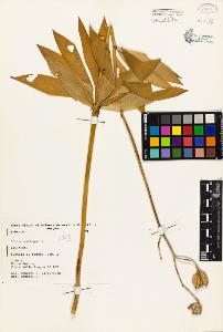 SW_BNB_s3080-03281_IMG-0000000001