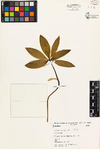 SW_BNB_s3080-03282_IMG-0000000001