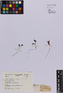 SW_BNB_s3080-03285_IMG-0000000001