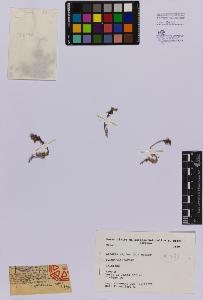 SW_BNB_s3080-03286_IMG-0000000001