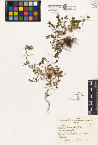 SW_BNB_s3080-03287_IMG-0000000001