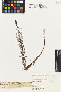 SW_BNB_s3080-03288_IMG-0000000001