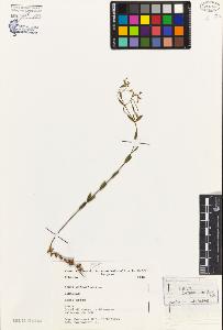 SW_BNB_s3080-03303_IMG-0000000001