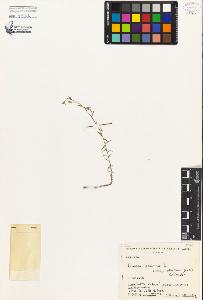 SW_BNB_s3080-03307_IMG-0000000001