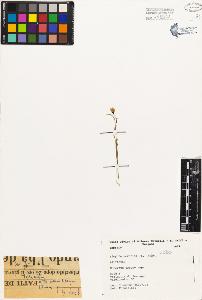 SW_BNB_s3080-03313_IMG-0000000001